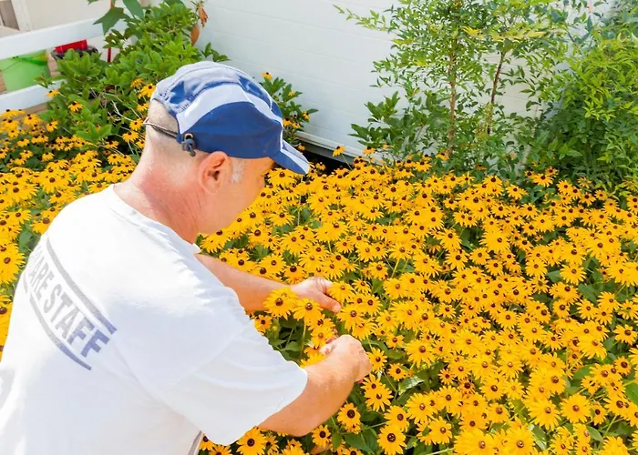 Ferienpark Miramare Camping Village Sottomarina