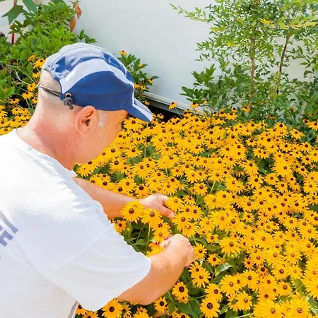 ホリデーパーク Miramare Village ソットマリーナ